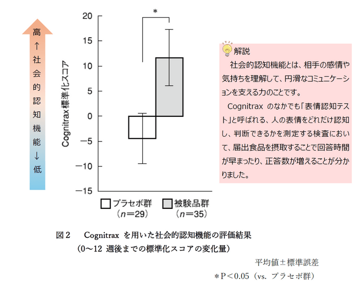 Cognitrax結果 詳細