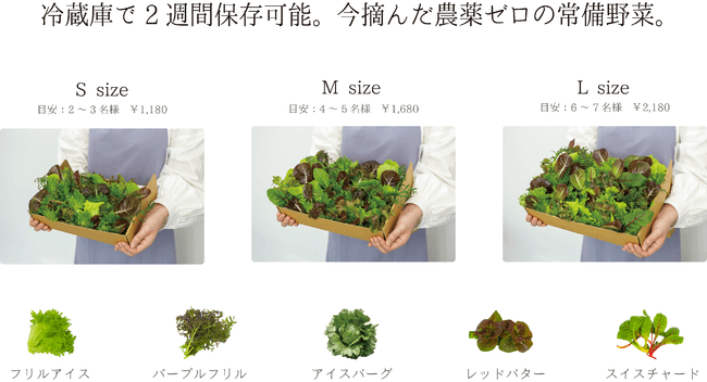 販売商品【30分以内収穫】今摘んだ無菌・農薬ゼロの常備野菜