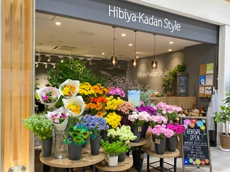 ～約1,000本の地元静岡県産のガーベラで 華やかにお出迎え～ Hibiya-Kadan Style ASTY静岡店 7月12日（水）リニューアルオープン