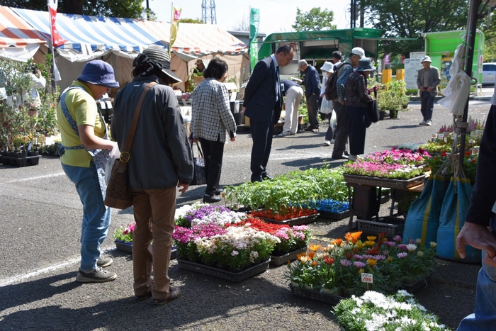 東京都農業祭植木部門