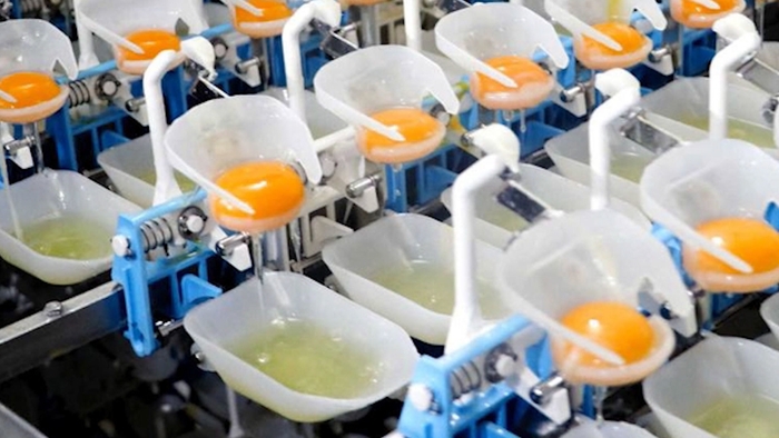 マヨネーズ工場 動画(2)