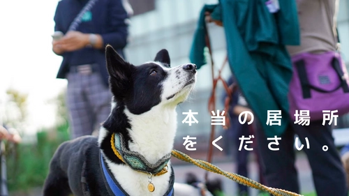 地域の方からも愛される犬にするための クラウドファンディングを実施
