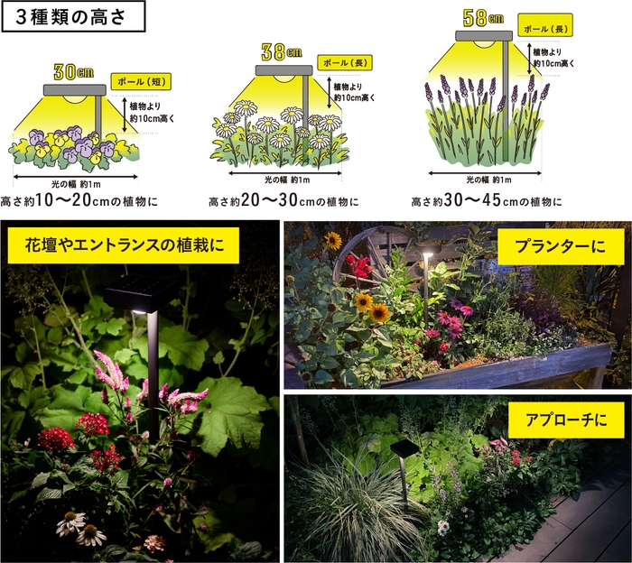 花のひかり　使用イメージ