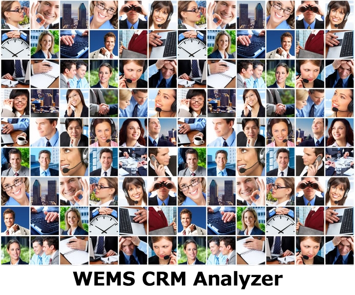 WEMS CRM Analyzer