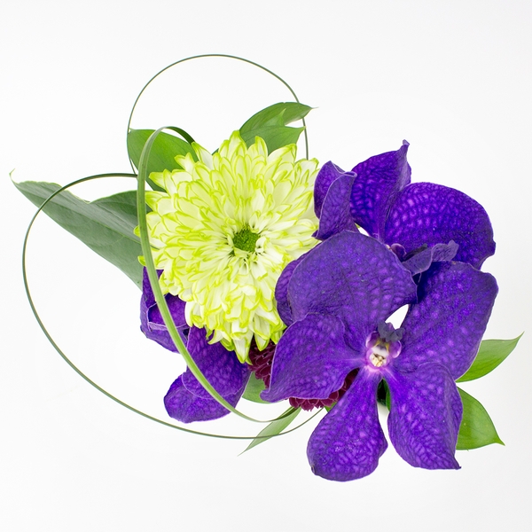 『和』のどかシリーズ SW ¥6,050(税込)