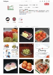 総合食品容器メーカー　エフピコチューパ　 Instagram・Twitterページを2021年3月に開設
