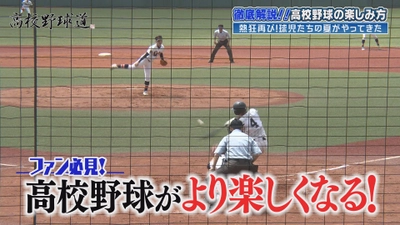 ファン必見！高校野球がより楽しくなる『高校野球道』