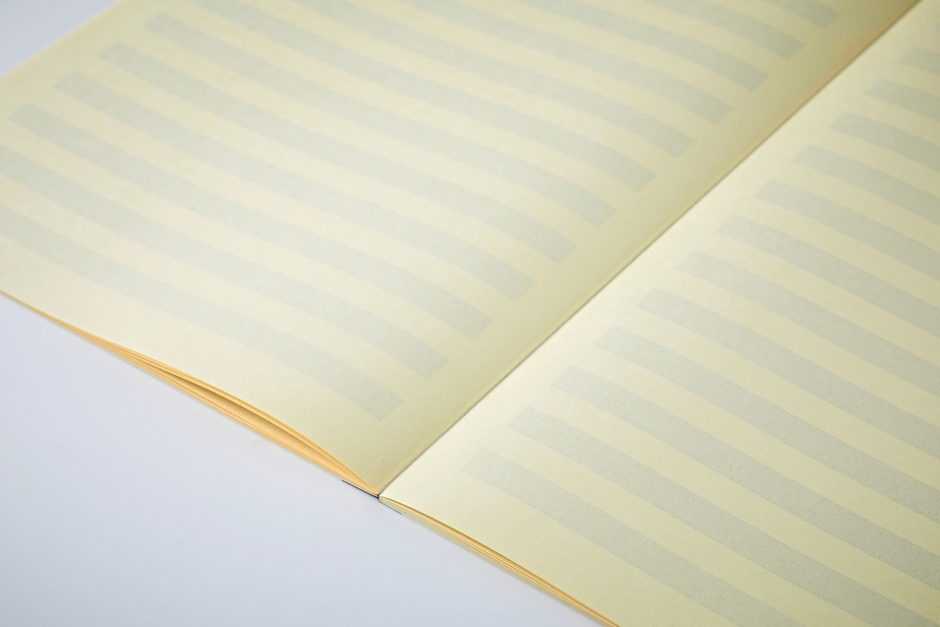 ペイフォワード まほら レモン あみかけ横罫