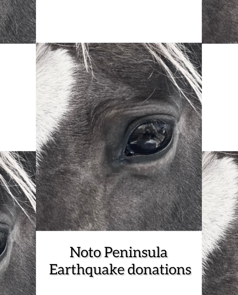 能登半島地震 引退馬への寄付