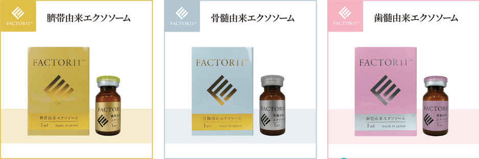 臍帯由来 FACTOR11・骨髄由来 FACTOR11・歯髄由来 FACTOR11