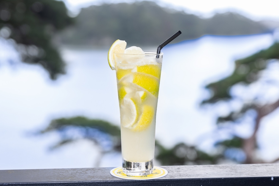 国産レモンまるごと2個！究極のかきフライ専用 レモンスカッシュ