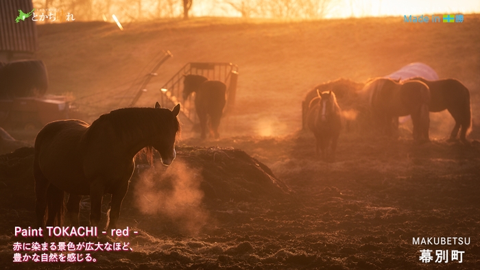 -red-　幕別町