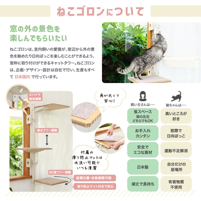 ねこゴロンとは?