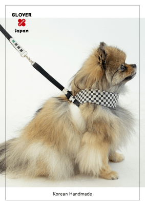 ハーネス小型犬着用