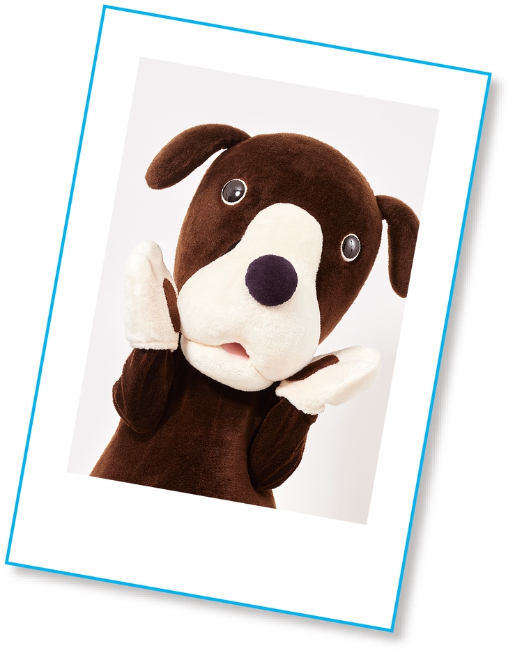 なんばワンの生写真