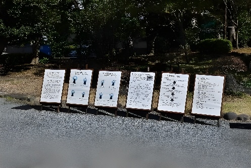 パネル展示（昨年度開催の様子）