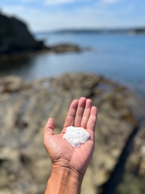 勝浦の海からの恵みを届けたい!!