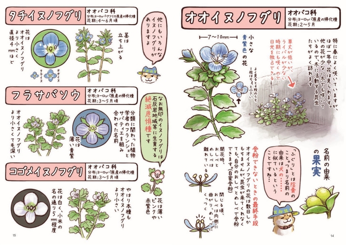 毎日通る身近な場所には、さまざまな草花がいっぱい！