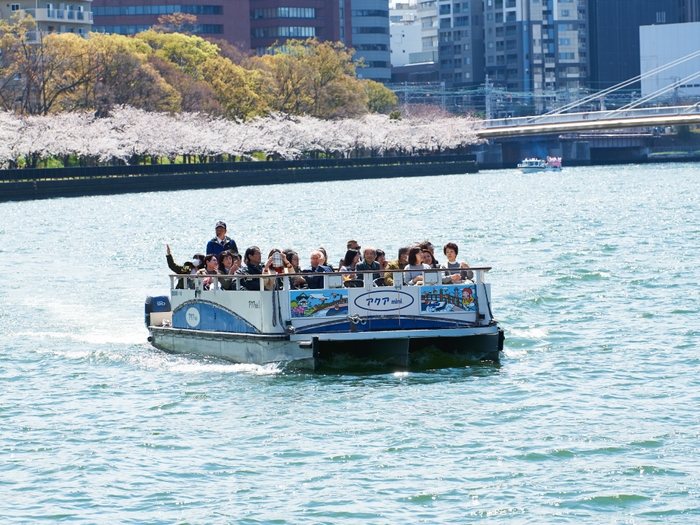 トップ アクアmini