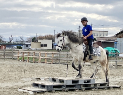 キッズ ウエスタントレイル乗馬