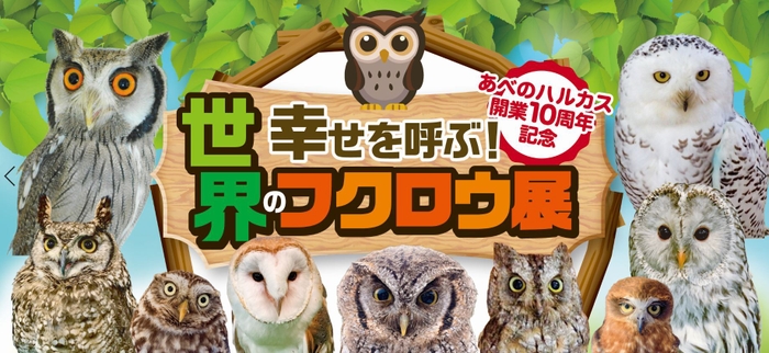 世界のフクロウ展