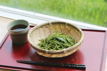 食べる抹茶でヘルシー生活！ 「玄米粉の濃厚自家製抹茶麺」のお取り寄せ販売を7月26日より開始