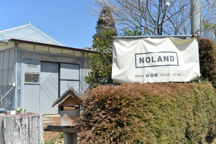 NOLAND
