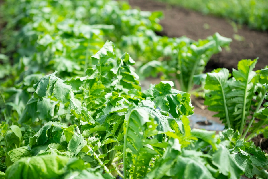 第1弾イベントレポート1