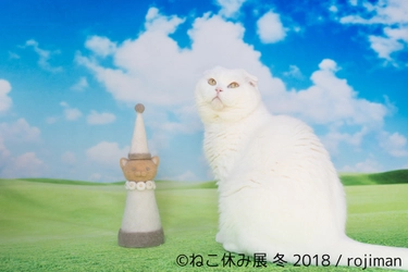 「ねこ休み展」本祭 詳細決定！有名作家が愛猫をイラストに！？ “ニャイト”パーティーなどの2018年新企画も盛りだくさん