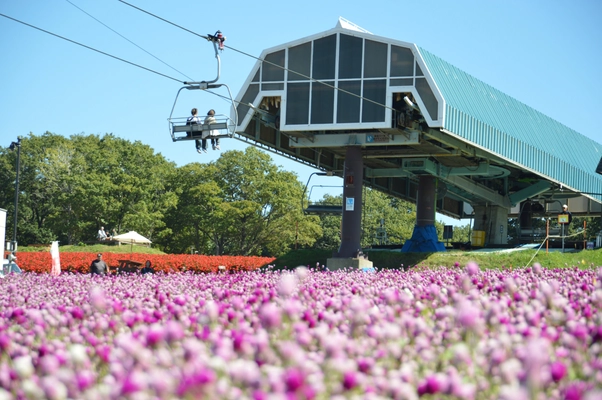 標高1,000m、笑顔と大自然があふれる フラワー＆アクティビティフィールド　 岐阜県郡上市「ひるがのピクニックガーデン」7月12日OPEN！ 東海地区初※！マウンテンカートが新登場！！
