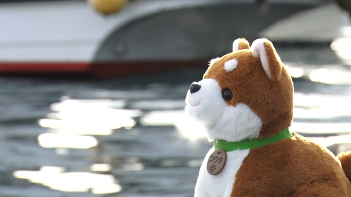 コウタ 港