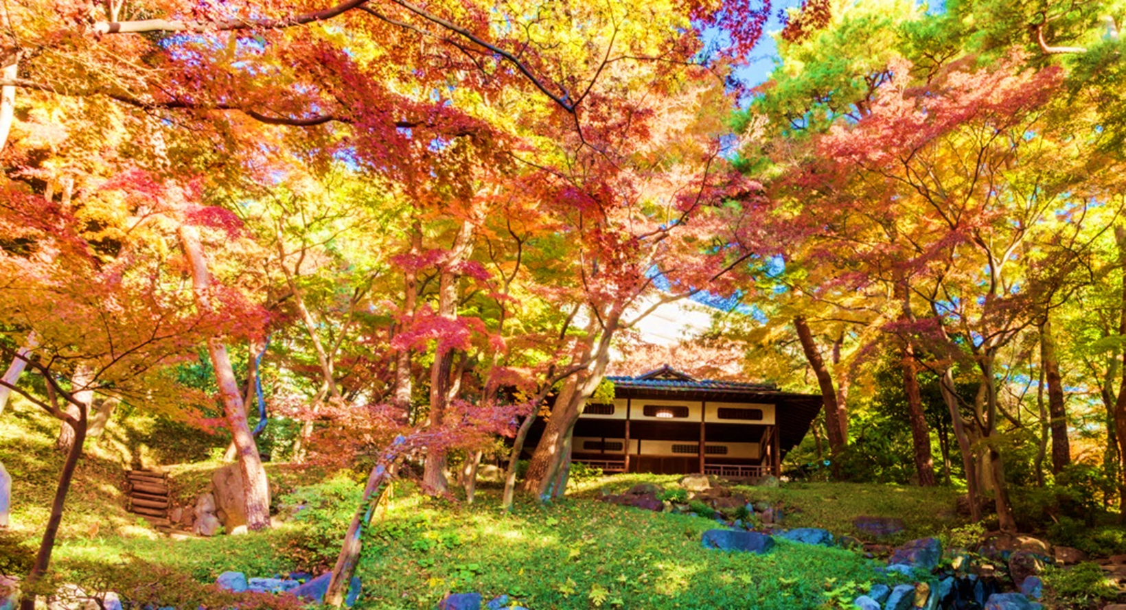 紅葉亭（昨年11月の様子）
