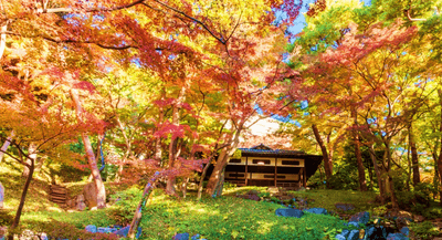 紅葉亭(昨年11月の様子)