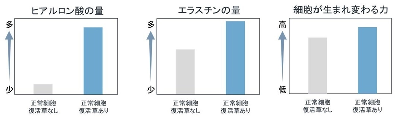 「復活草」「茉莉花」「時計草」に 夜間に高まる肌の回復を促す効果を発見