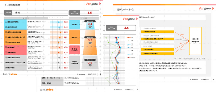 診断レポート:一例
