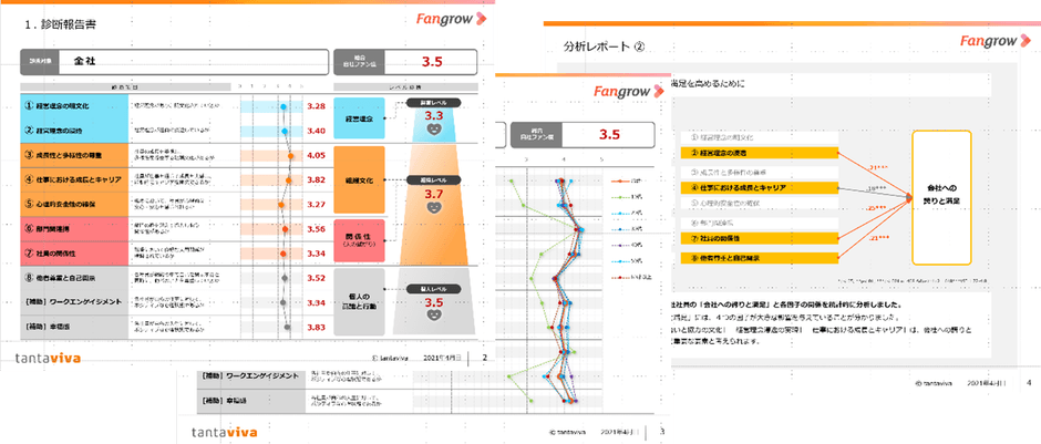 診断レポート:一例