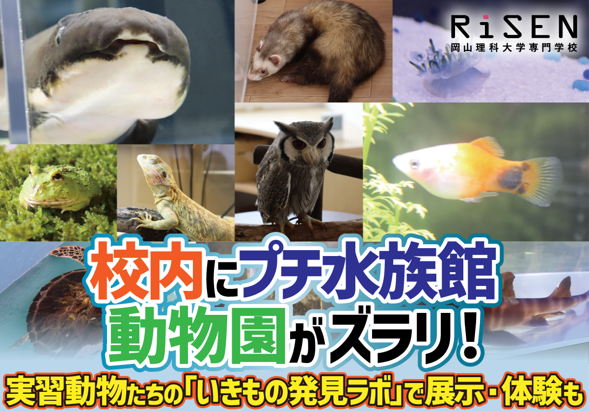 【岡山理科大学専門学校】校内にプチ水族館・動物園がズラリ！実習動物たちの「いきもの発見ラボ」で展示・体験も