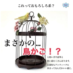 おもしろ系？まさかの鳥かご！？どうやって使うの？と思いきや意外と使い道たくさんあります。お部屋もアンティークに決まってなんだかいい感じ♪