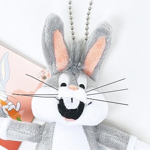 ルーニーテューンズ のマスコット