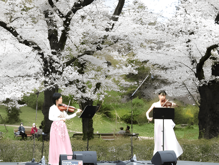さくらコンサート（令和７年撮影）