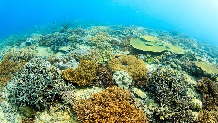 那覇空港から、約30分で宜野湾美ら海の水中世界へGO!