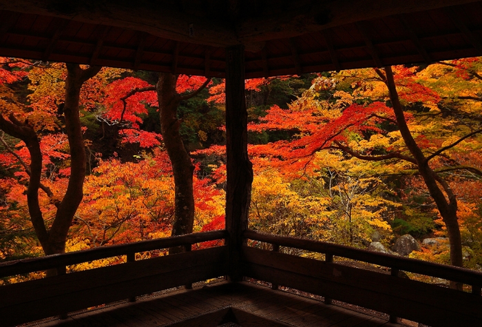 秋の昇仙峡旅しようキャンペーン