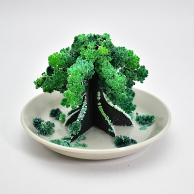 盆栽(1)