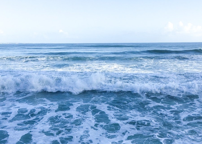 第一回新俳句フォト賞 ちーこ さん受賞作品