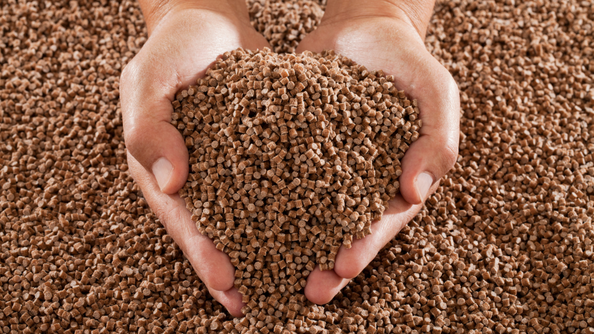 バイオベースポリプロピレン市場は、年平均成長率（CAGR）9.5%で成長する見込みです。