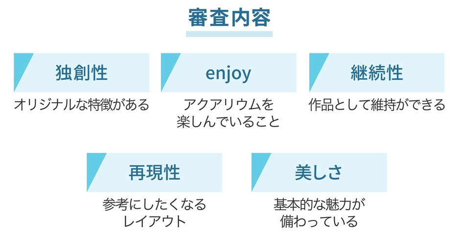 審査内容
