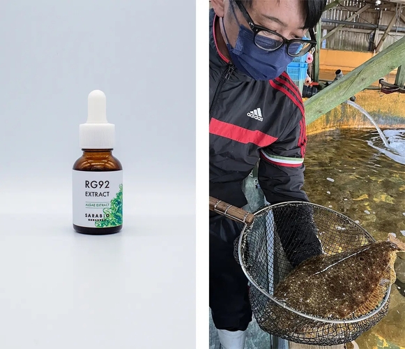 RG92エキスと、水産養殖現場での活用イメージ(画像提供:株式会社SARABiO温泉微生物研究所)