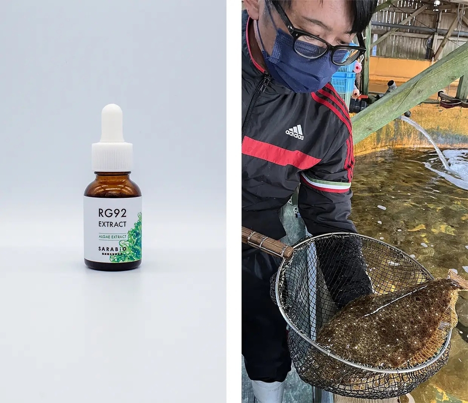 RG92エキスと、水産養殖現場での活用イメージ(画像提供:株式会社SARABiO温泉微生物研究所)