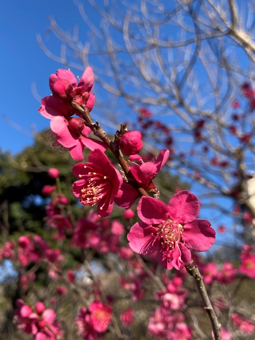 2023年2月20日撮影