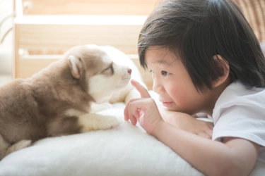 ペットは友達！ペットと暮らすと「思いやりの心」が芽生える